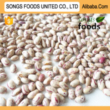 Alibaba Songs Foods Products Light Speckled Kidney Beans